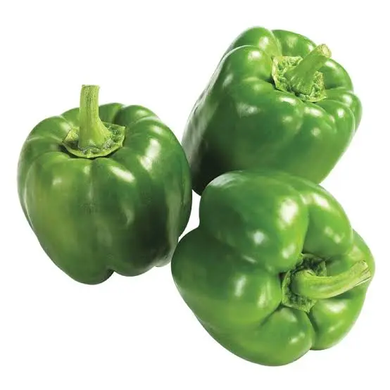 [P0184] BELL PEPPER (GREEN)