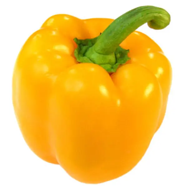 [P0185] BELL PEPPER (YELLOW)