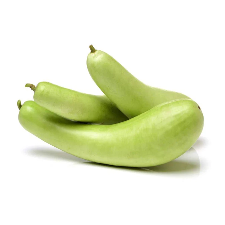 [P0188] BOTTLE GOURD
