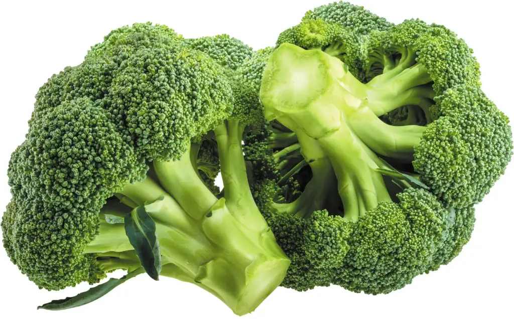 [P0192] BROCCOLI