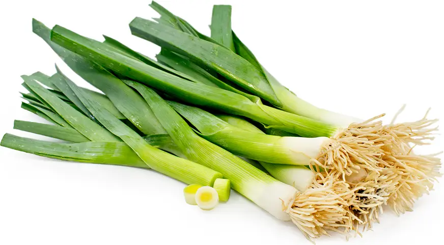 [P0221] LEEKS