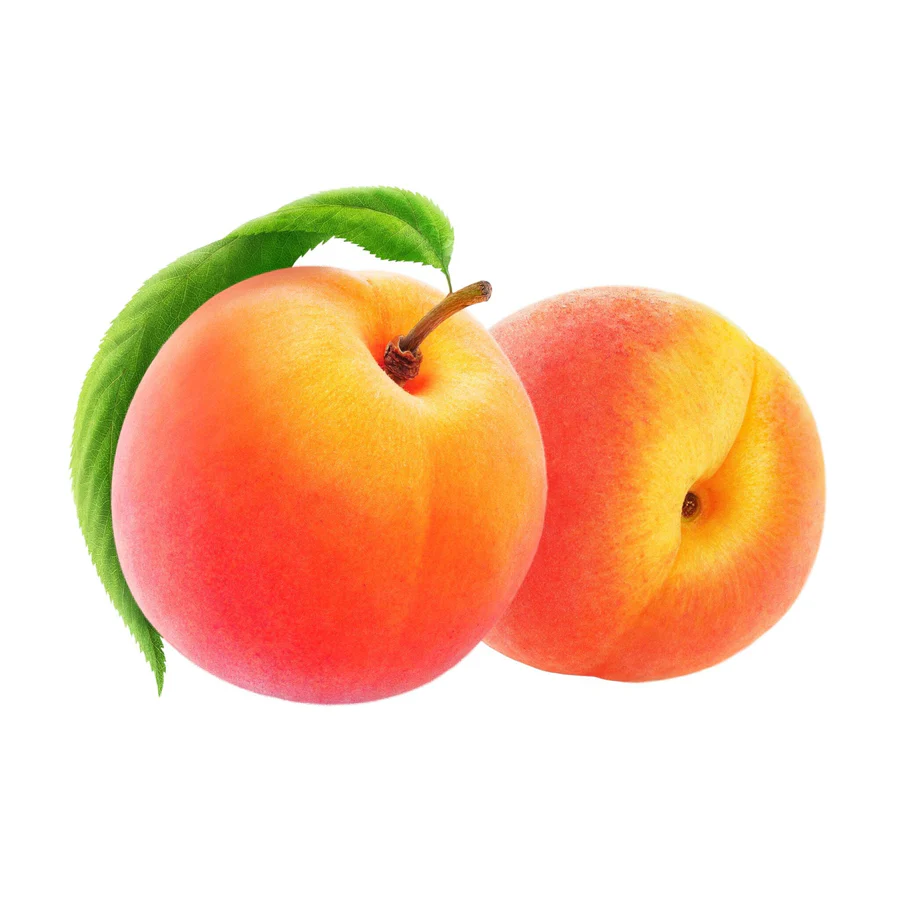 [P0093] APRICOT