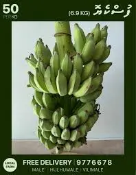 SMOKED BANANA