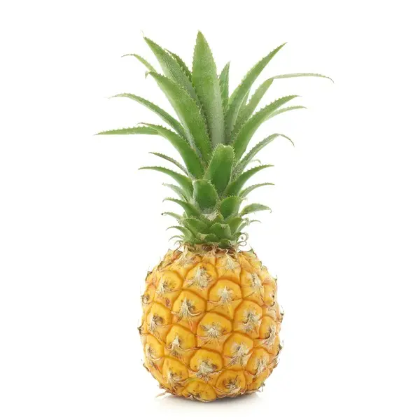 BABY PINEAPPLE