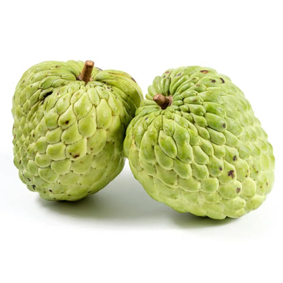CUSTURD APPLE
