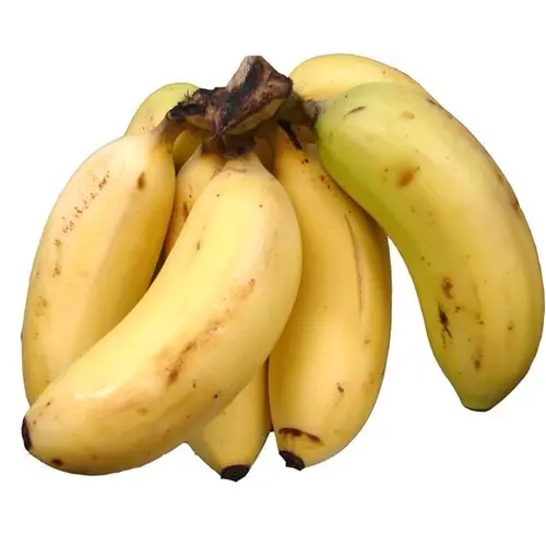 [P0100] BANANA POOVAN