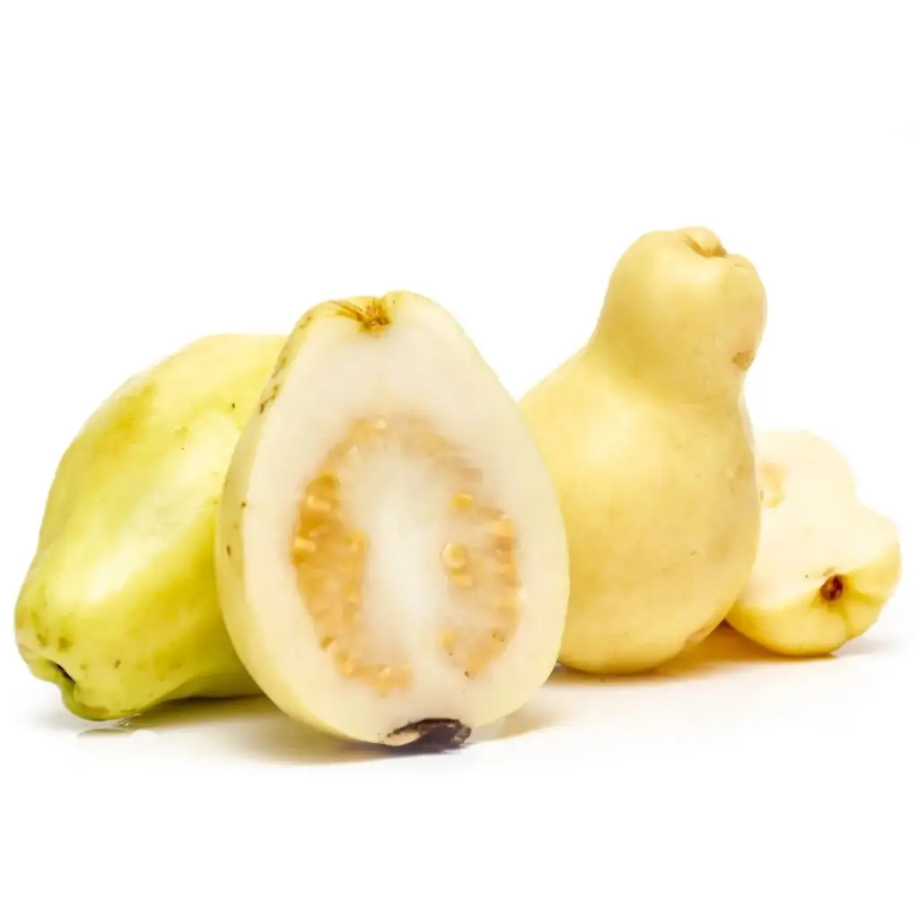 GUAVA (SMALL)