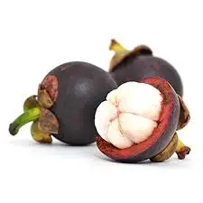 MANGOSTEEN