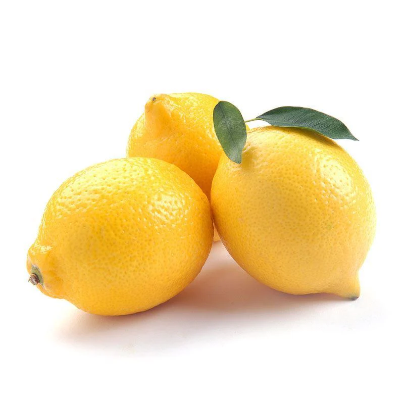 [P0158] YELLOW LEMON