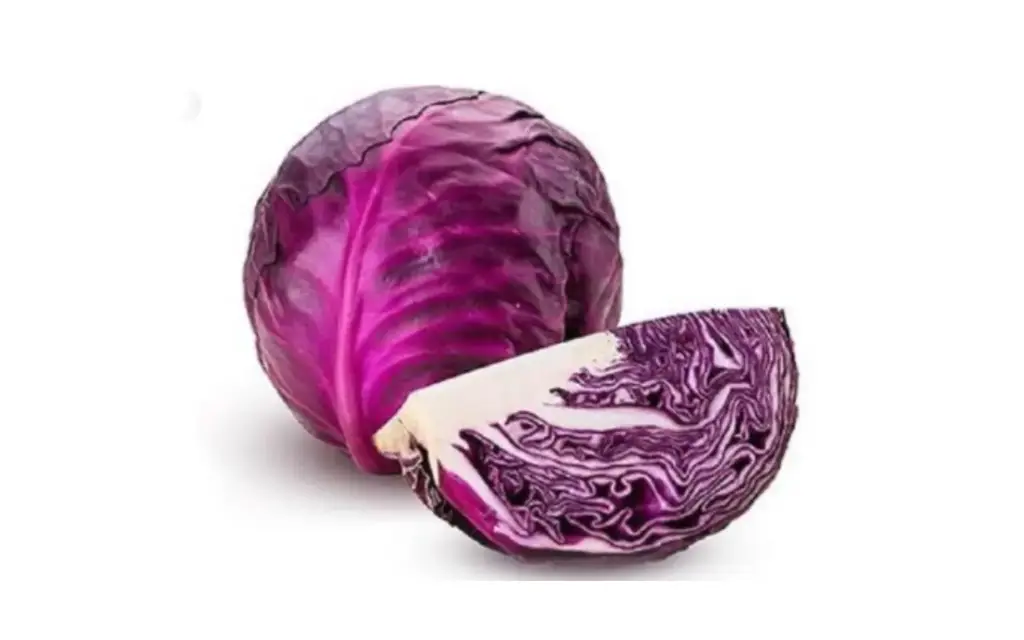 RED CABBAGE
