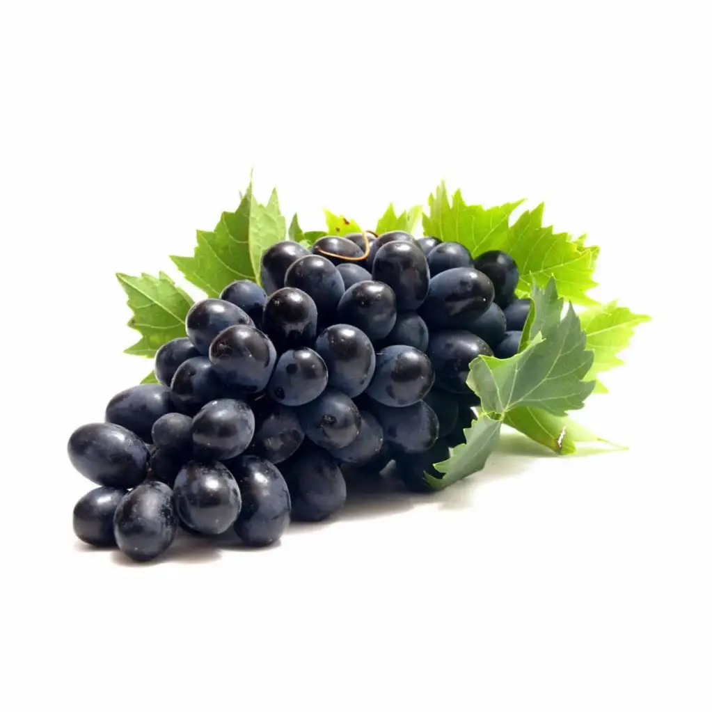 [P0162] GRAPES BLACK