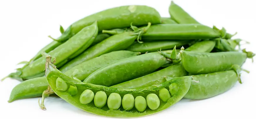 SUGAR SNAP BEANS
